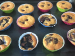 Muffins mit Schokostückchen