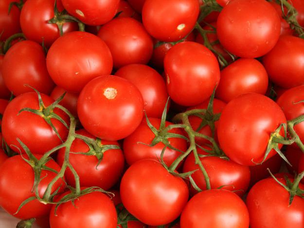 Tomaten