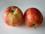 Apfel