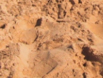 Sand