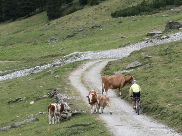 Mountainbike Tour