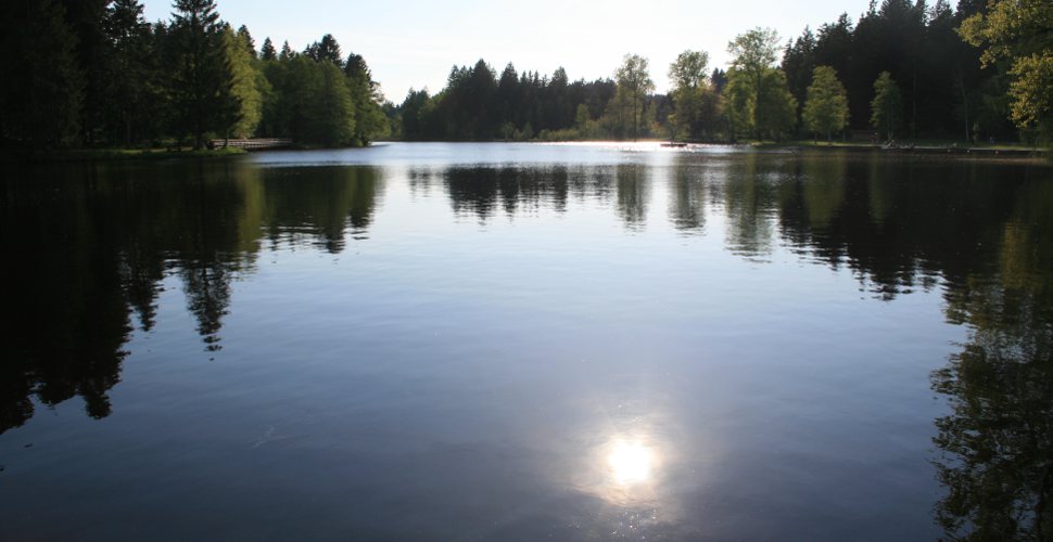 Waldsee bei Lindenberg