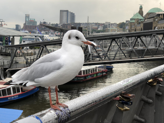 Hamburger Hafen