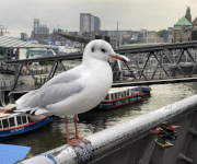 Hamburg Hafen