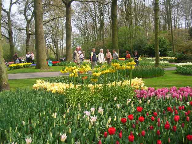 Keukenhof