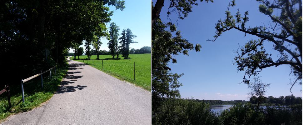 Zufahrt zu Metzisweiler Weiher