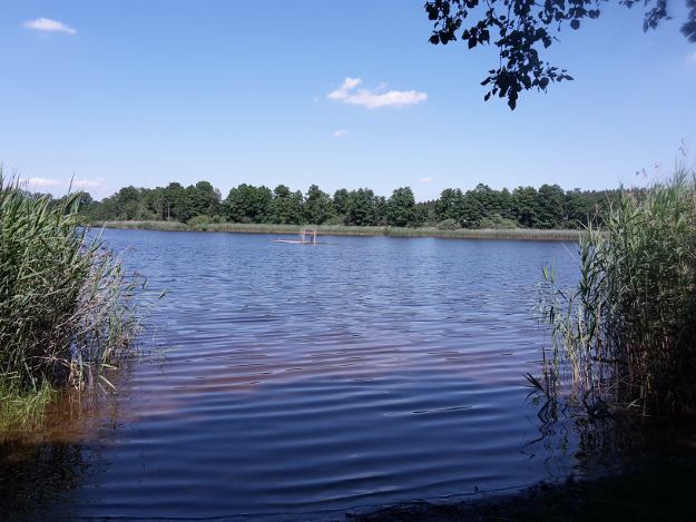 Metzisweiler Weiher