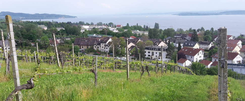 Blick auf Bodensee