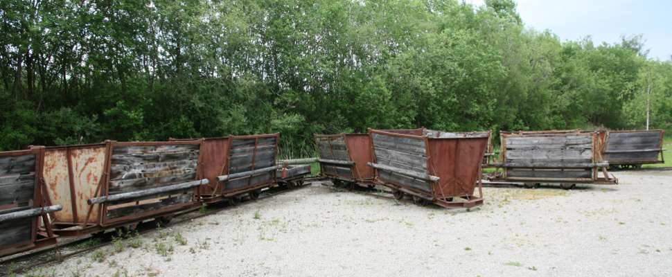 Transportwagen im Wurzacher Ried