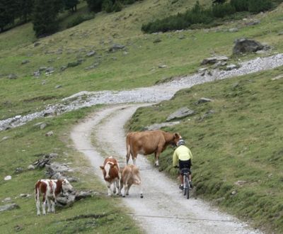 Mountainbiken im Axamer Lizum