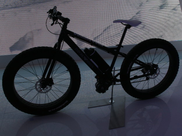 Fatbike