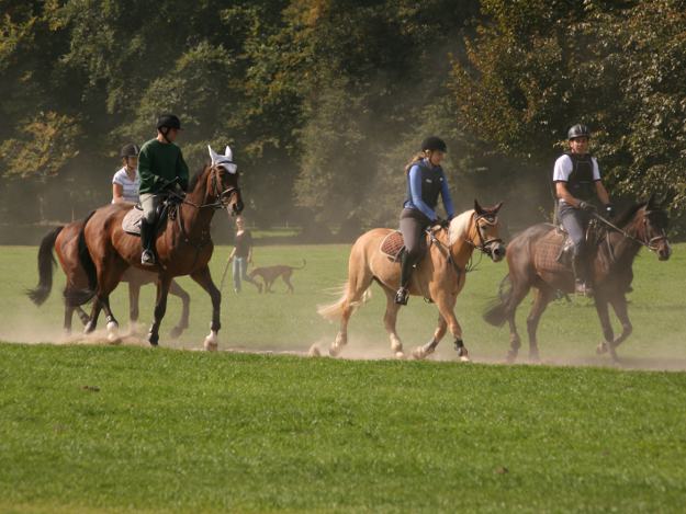 reiten