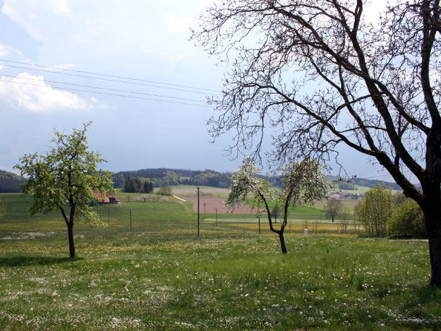 Allgäu