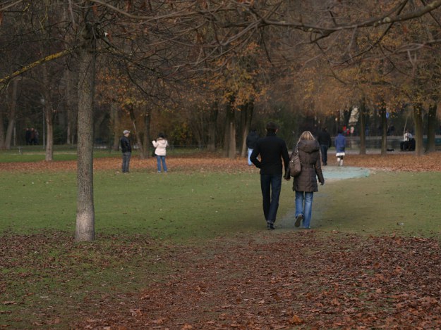 Spaziergang im Herbst