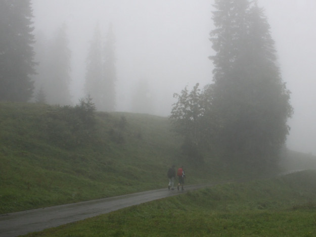 Spaziergang im Regen