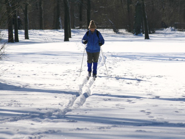 Skilanglauf